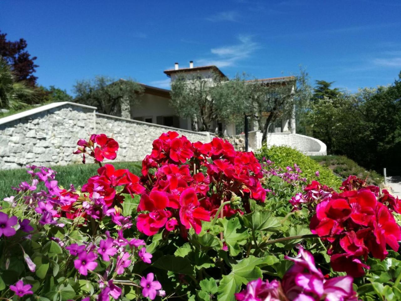 Relais Colle San Giorgio Bed & Breakfast Бардолино Екстериор снимка